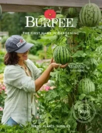 burpee-catalog-26-04