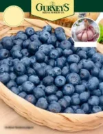 Free Gurney's Seed and Nursery Catalog