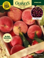 gurneys-seed-catalog-a026b004