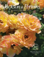 jackson-perkins-a26b03 catalog