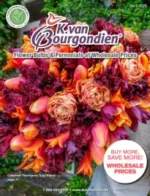 K. Van Bourgondien Catalog