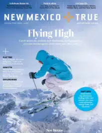New Mexico Travel Guide