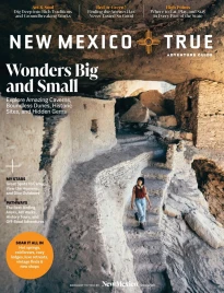 New Mexico Travel Guide