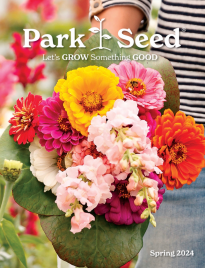 Park Seed Garden Catalog
