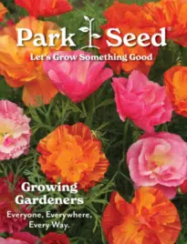 park-seed-catalog-26-02 catalog