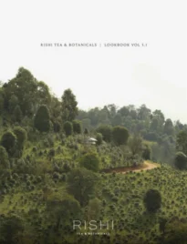 rishi-tea-a26b03