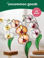 uncommon-goods-catalog-a26b03