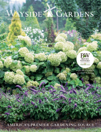 Wayside Gardens Catalog